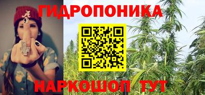 МДПВ Татарск