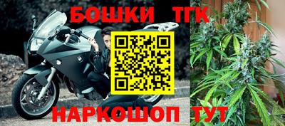 МДПВ Татарск