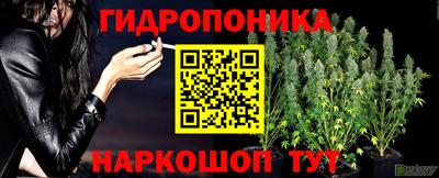 соль ск Ставрополь
