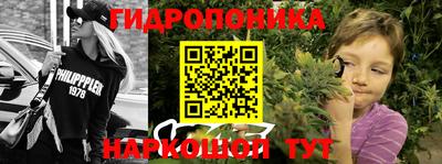 PSILOCYBIN Старая Купавна