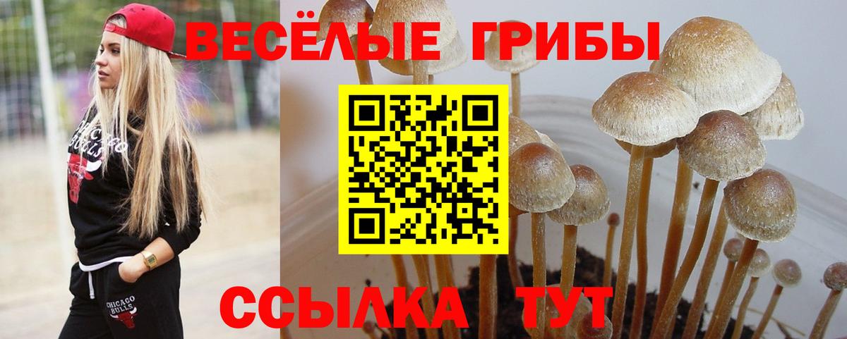 Галлюциногенные грибы GOLDEN TEACHER Можга